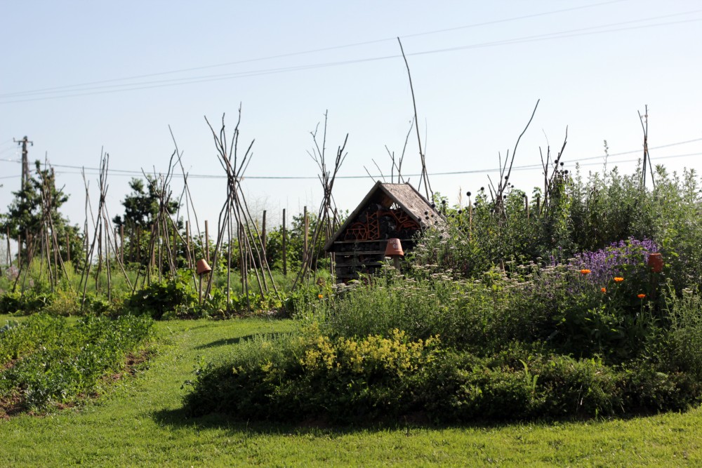 Pri Baronu-Excursion eco farm Uranjek