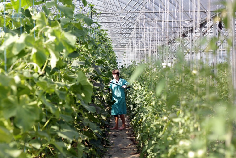 Ecological tourist farm Vrbnjak 