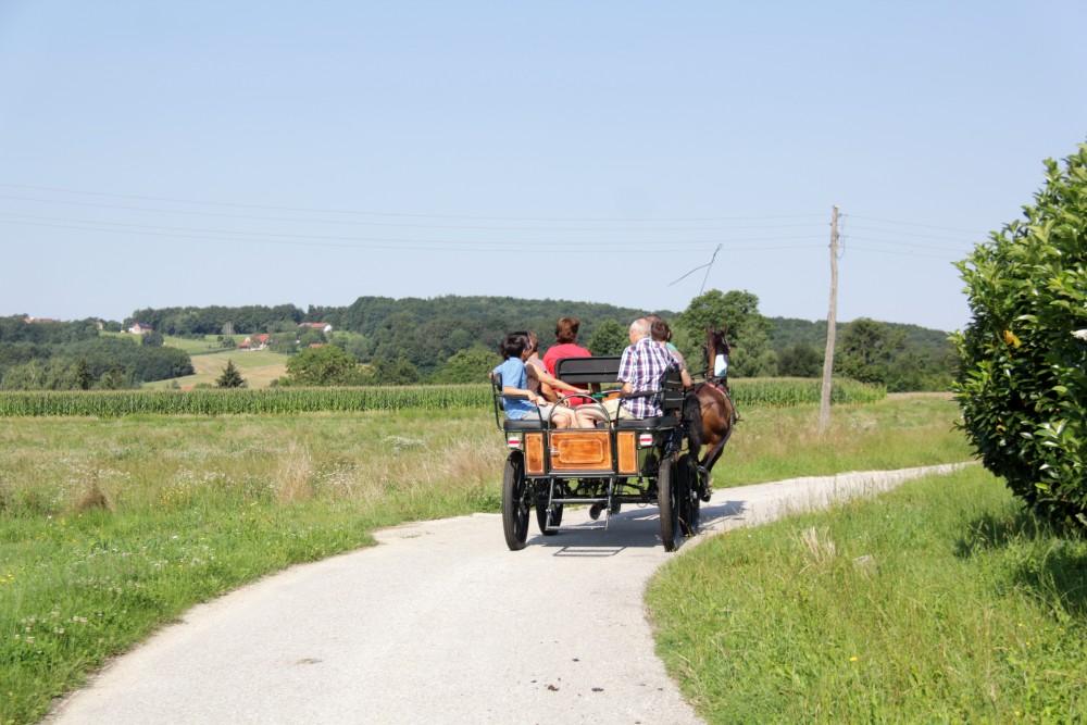 Ecological tourist farm Vrbnjak 