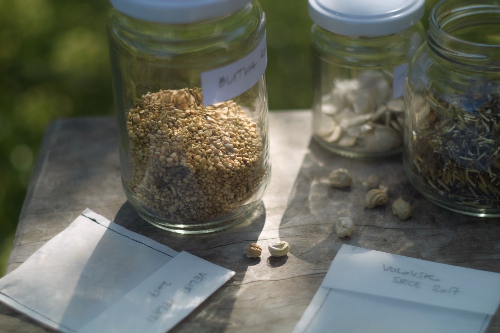 Seed library Maribor