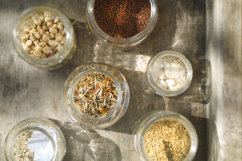 Seed library Maribor