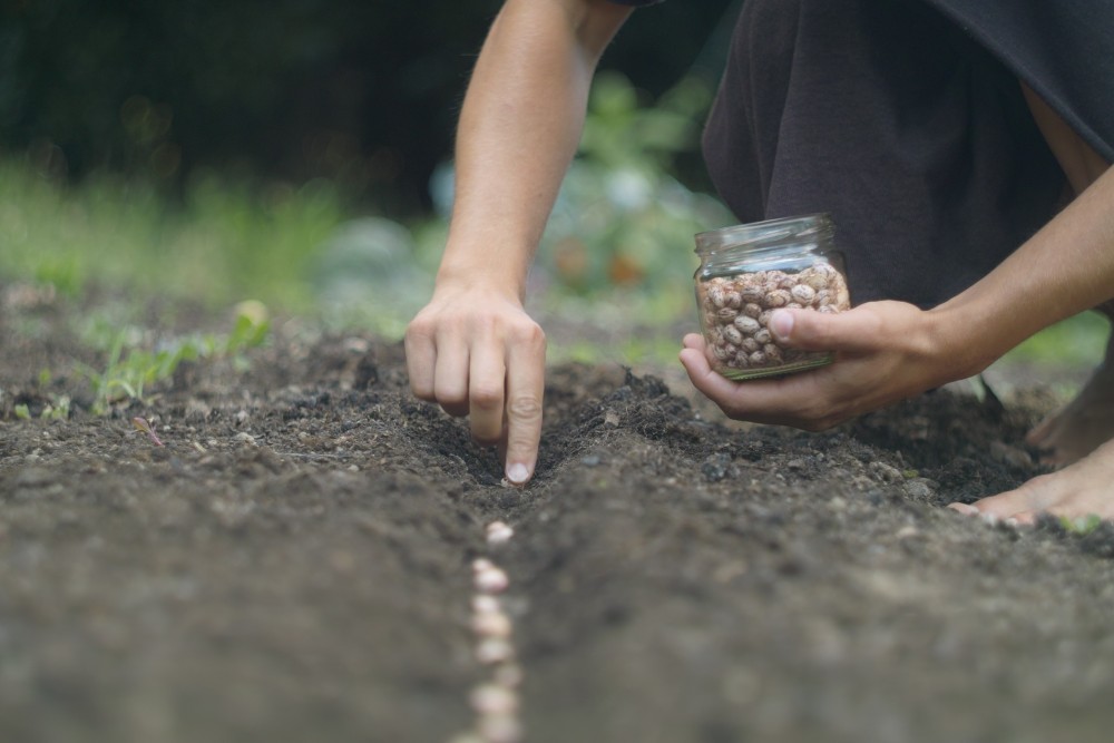 Seed library Maribor