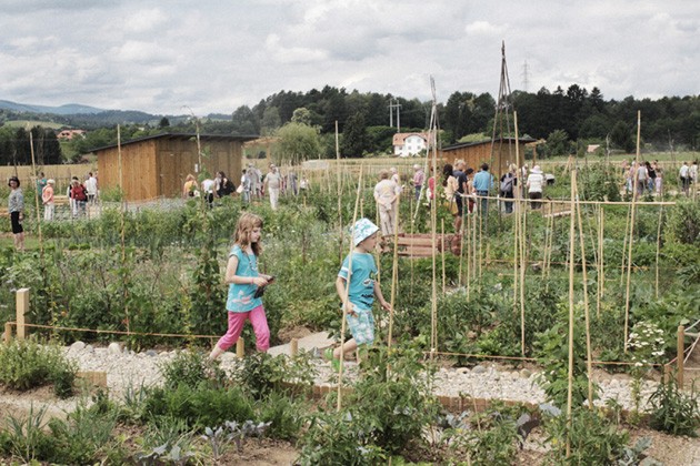 Urban eco garden in Maribor and natural gardening