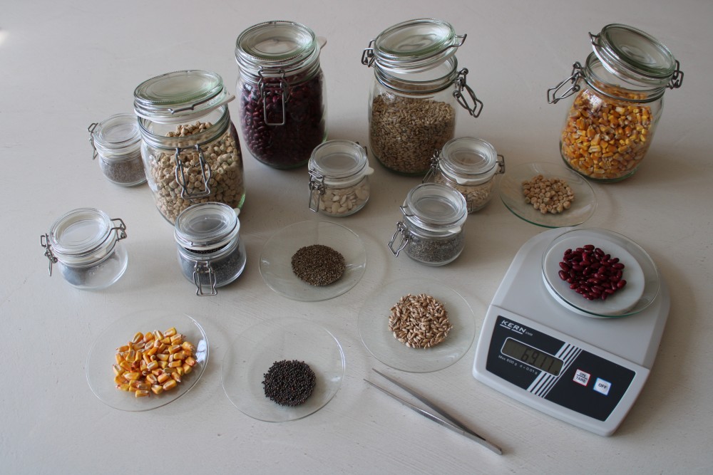 Seed lab