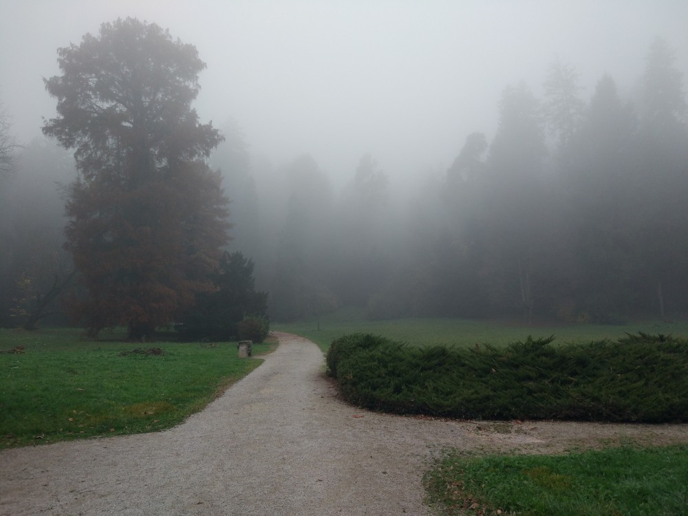 Visit to Arboretum Opeka 