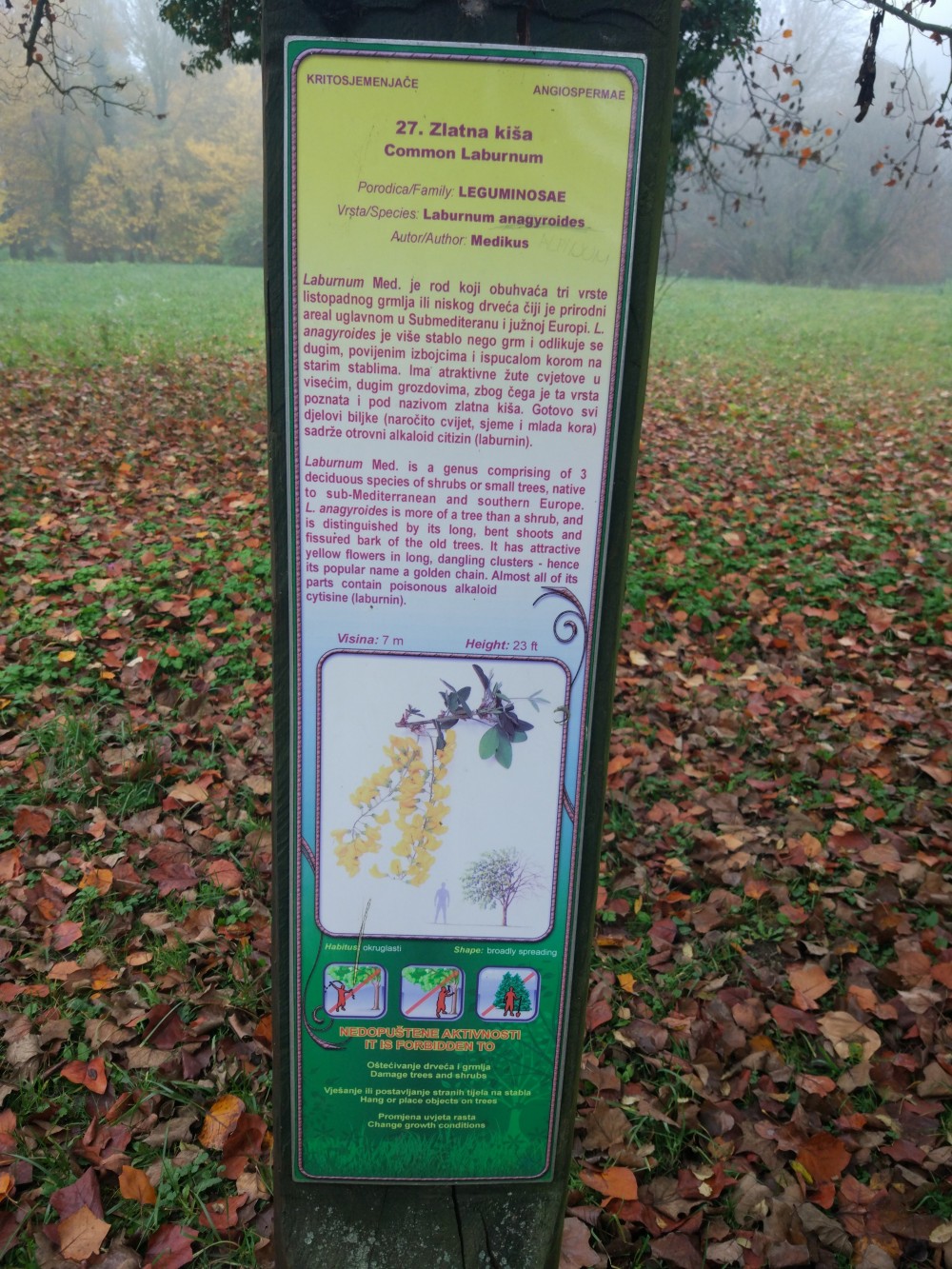 Visit to Arboretum Opeka 