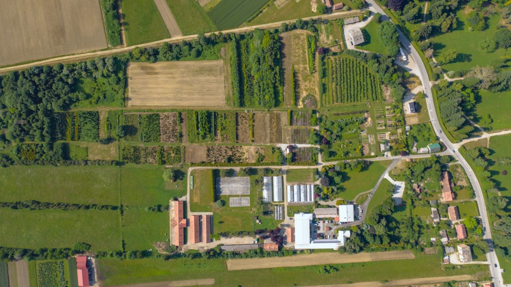 Visit to Arboretum Opeka 