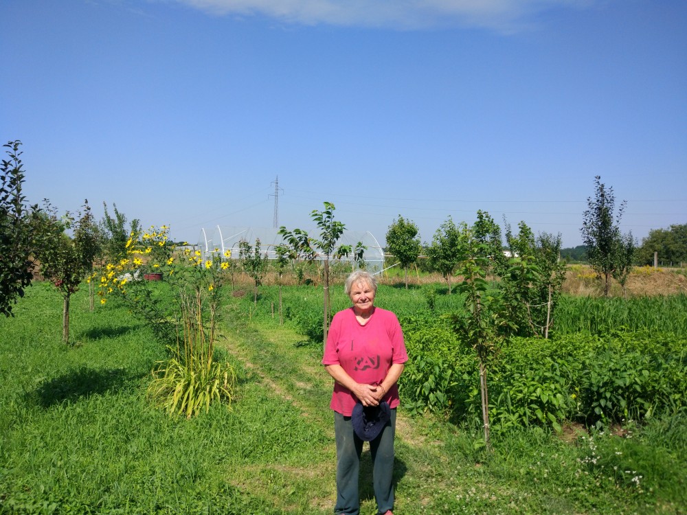 Bernarda’s garden on the principles of biodynamics